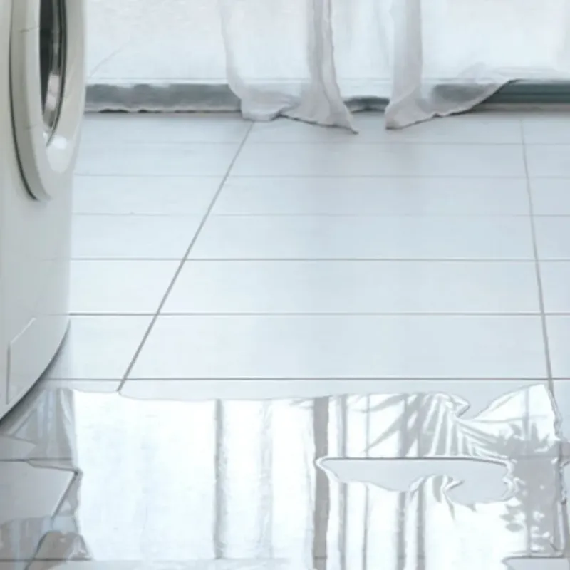 Appliance Leak Cleanup in Bonny Doon, CA